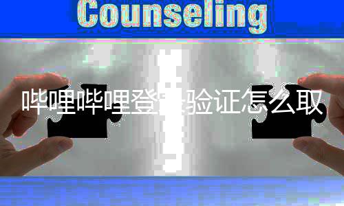哔哩哔哩 哔闭登怎么证教验证哩哔哩关录验取消登录程